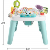 שולחן פעילות FISHER PRICE דגם HNR23 שולחן פעילות FISHER PRICE דגם HNR23