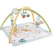 אוניברסיטה גירוי חושים FISHER PRICE דגם HRB15