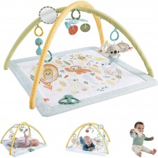אוניברסיטה גירוי חושים FISHER PRICE דגם HRB15