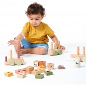 רכבת סדרן צורות מעץ TINY LOVE 