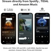 מזרים מדיה וממיר WiiM DAC דגם WiiM Pro Plus