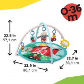 משטח פעילות בחווה 3 ב - 1 BABY EINSTEIN משטח פעילות בחווה 3 ב - 1 BABY EINSTEIN