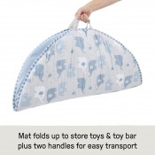 אוניברסיטה משטח פעילות INGENUITY 