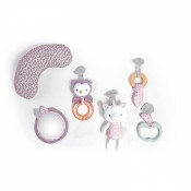 אוניברסיטה משטח פעילות INGENUITY 