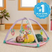 אוניברסיטה משטח פעילות בספארי BRIGHT STARTS 