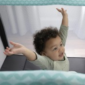 לול נייד INGENUITY לול נייד INGENUITY