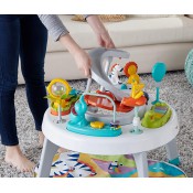 שולחן פעילות בעלי חיים FISHER PRICE דגם ‎FPV61