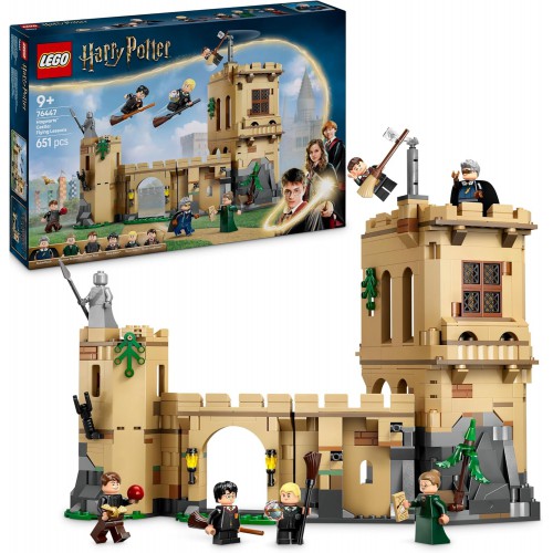 LEGO Harry Potter 76447 Hogwarts Castle: Flying Lessons LEGO Harry Potter 76447 Hogwarts Castle: Flying Lessons