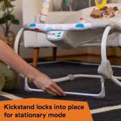 נדנדה ניידת לתינוק BABY EINSTEIN נדנדה ניידת לתינוק BABY EINSTEIN