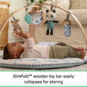 אוניברסיטה משטח פעילות INGENUITY 