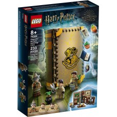 LEGO Harry Potter 76384 Hogwarts Moment: Herbology Class