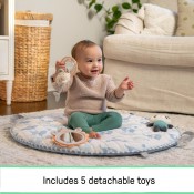 אוניברסיטה משטח פעילות INGENUITY 