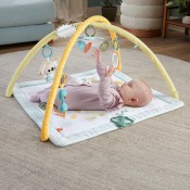 אוניברסיטה גירוי חושים FISHER PRICE דגם HRB15