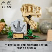 LEGO Jurassic World 76964 Dinosaur Fossils: T. rex Skull