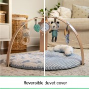 אוניברסיטה משטח פעילות INGENUITY 