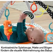 אוניברסיטה 3 ב - 1 FISHER PRICE דגם HBP41