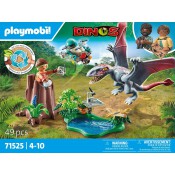 Playmobil Dinos 71525 Observatory for Dimorphodon Playmobil Dinos 71525 Observatory for Dimorphodon