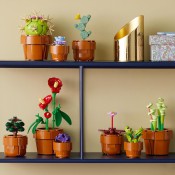 LEGO Botanicals 10329 Tiny Plants
