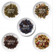 קומקום חשמלי SAGE דגם SKE825BSS 